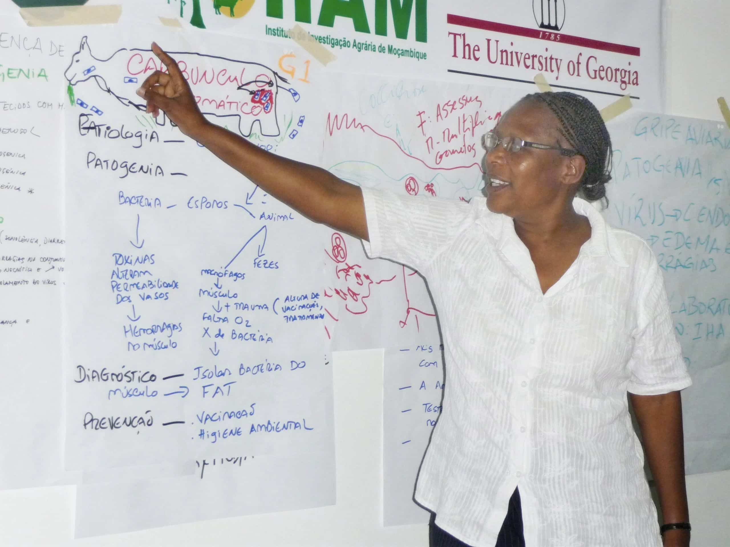Instructor points to animal disease notes and diagrams during a veterinary training session.