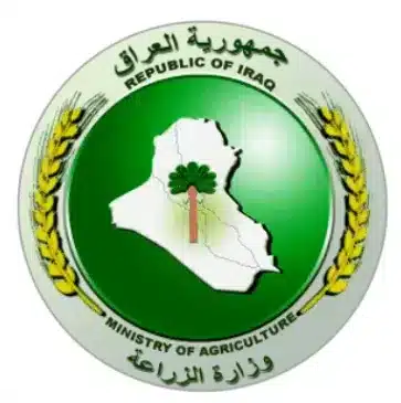 Online Course