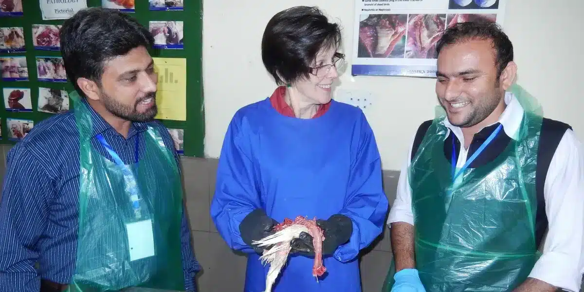 Having a quiz with a vet in Pakistan Having a quiz with a vet in Pakistan