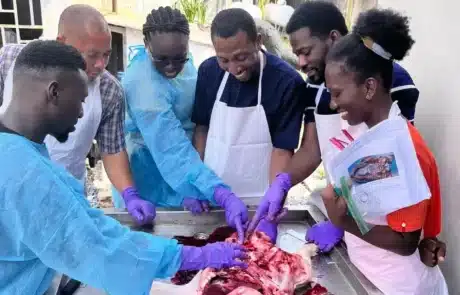 Swine necropsy analysis Swine necropsy analysis