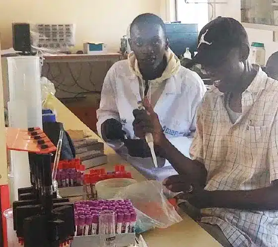 The Gambia working on lab The Gambia working on lab